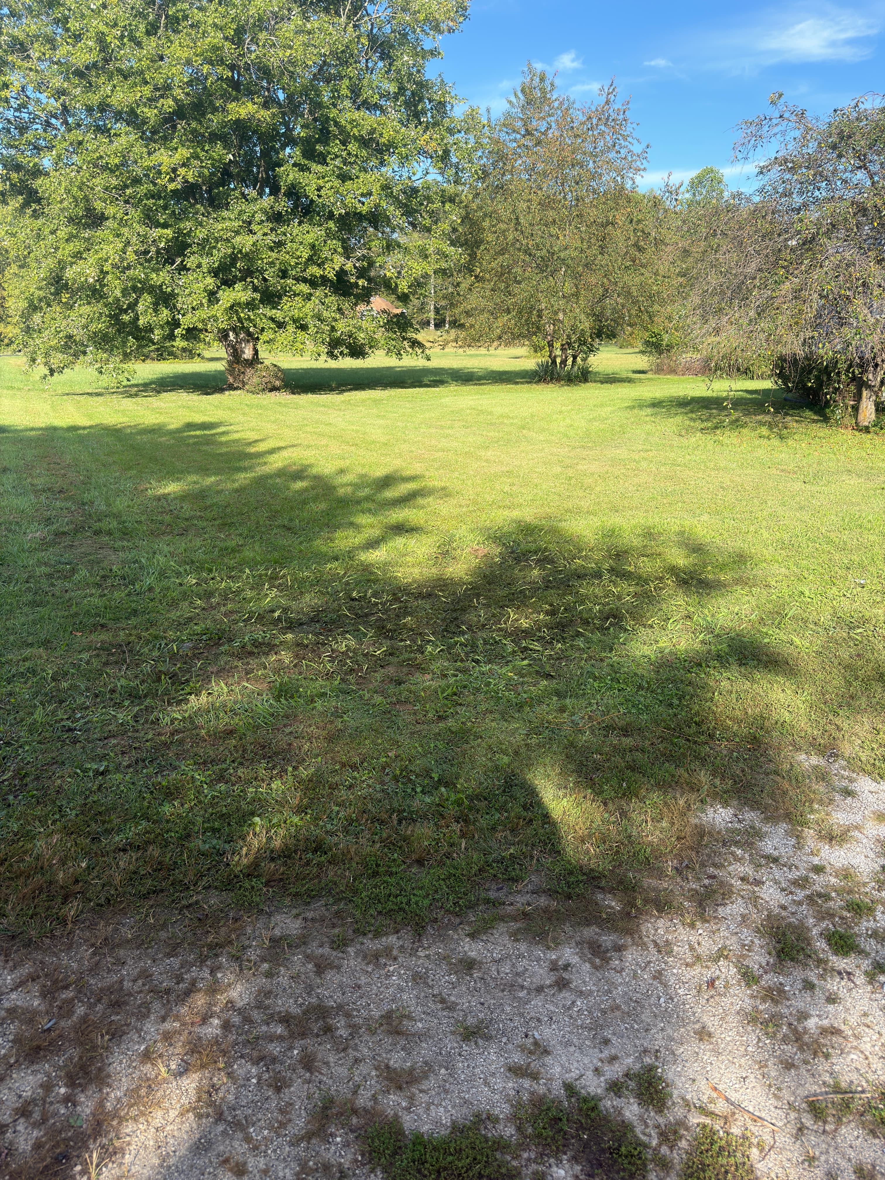 After Junk Removal Project