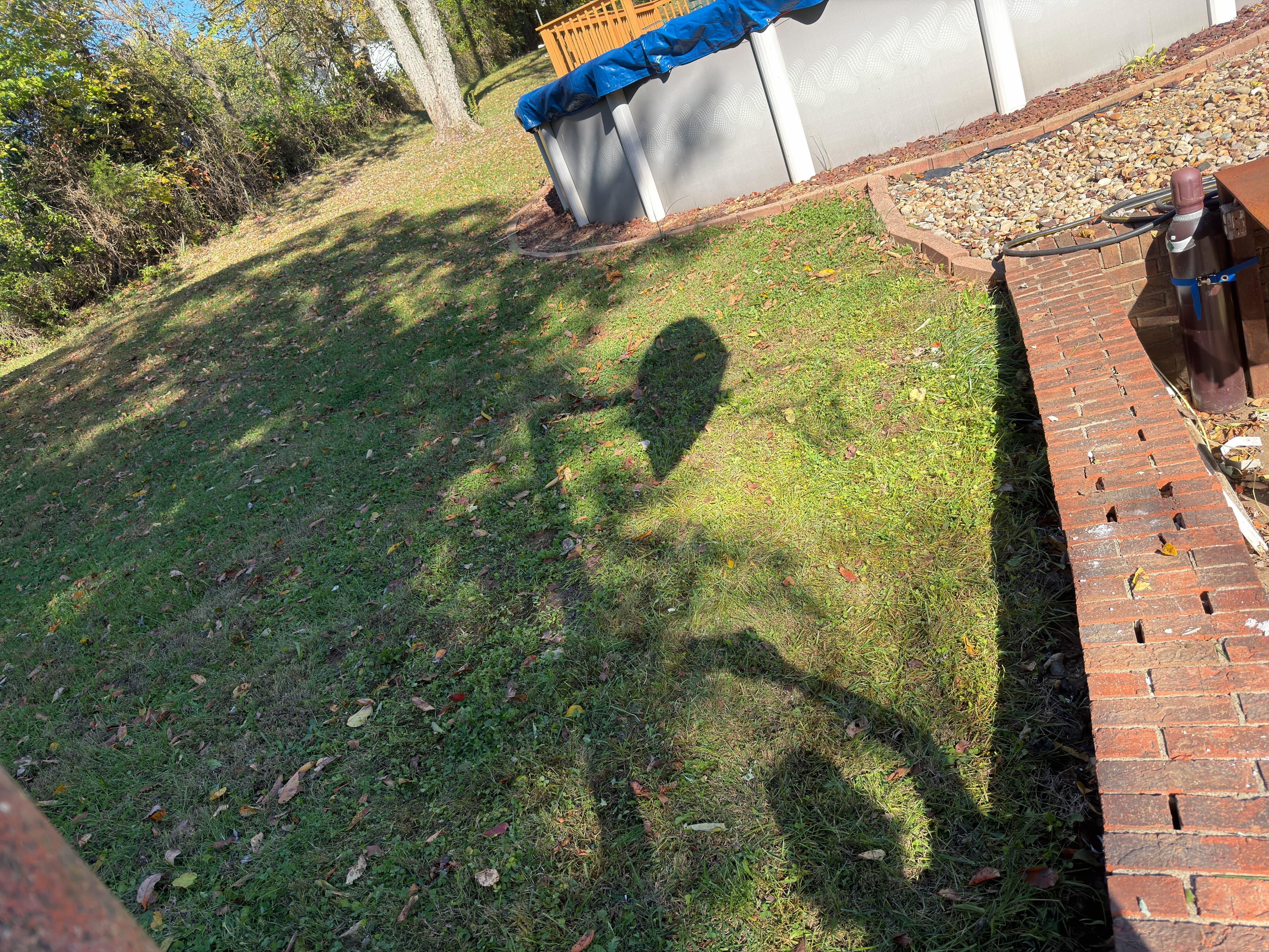 After Junk Removal Project