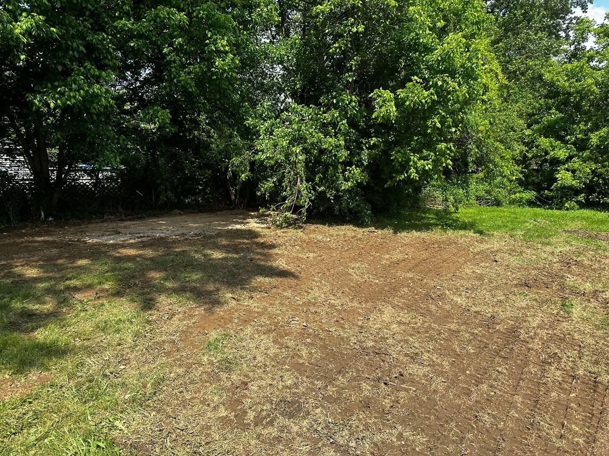 After Cleaned Up Space